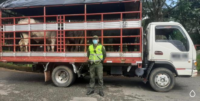 Policía-Nacional-y-gremio-de-ganaderos-trabajan-de-la-mano-para-evitar-el-abigeato-2