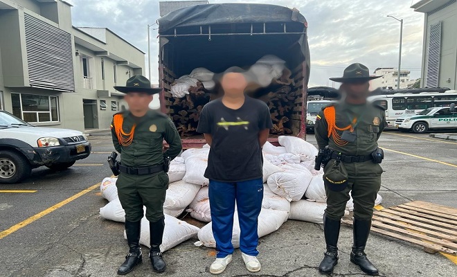 Policía incauta importante cantidad de madera