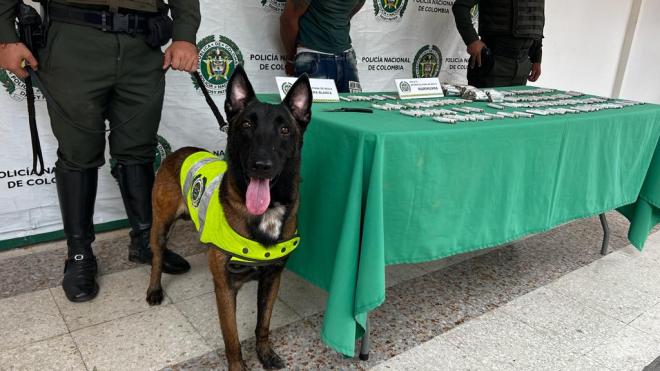Policía Nacional, en Neiva Incauta 280 dosis de Marihuana 