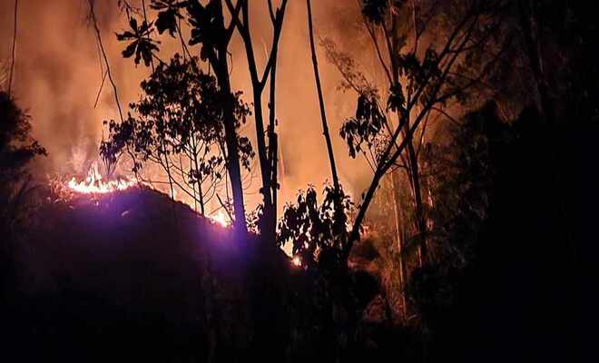 Gracias a un esfuerzo en conjunto, lograron controlar un incendio forestal, sin dejar daños considerables.