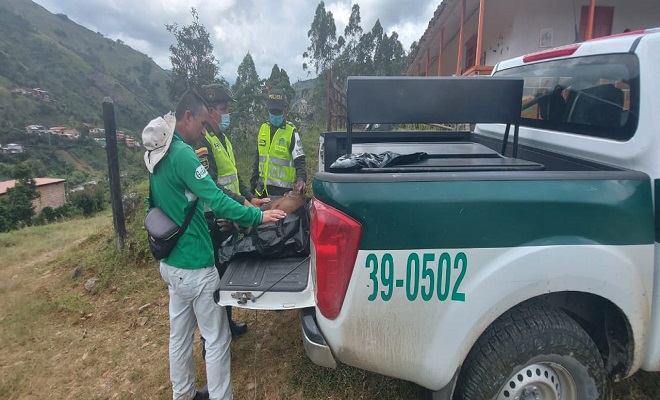 Policía y el venado herido 