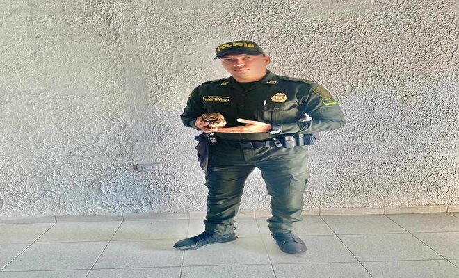Policías_ auxilian_ a_ un_ búho
