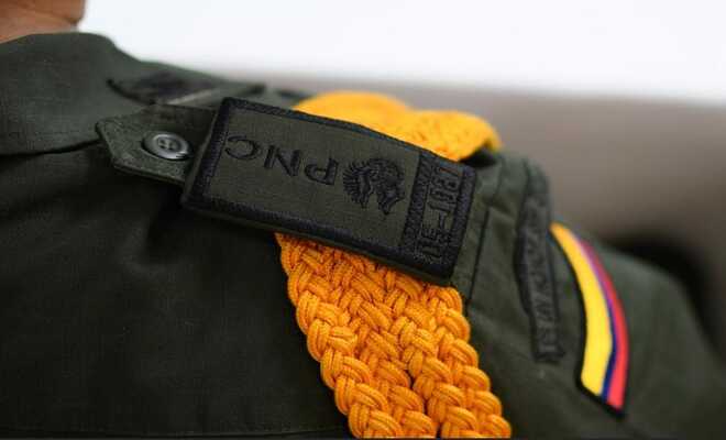 precilla que reflejan el año de ingreso a la institucion