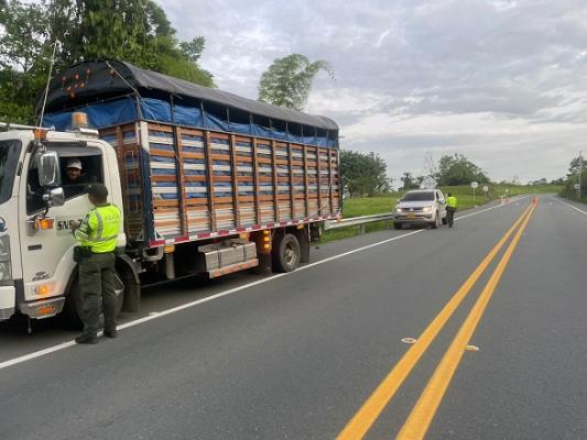 realizamos planes preventivos en las vias