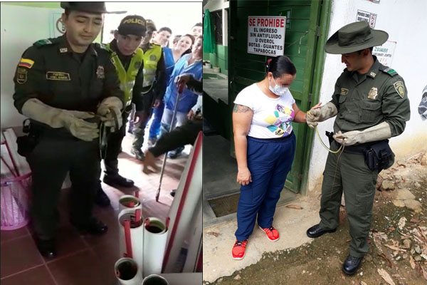 proteccion-fauna-silvestre