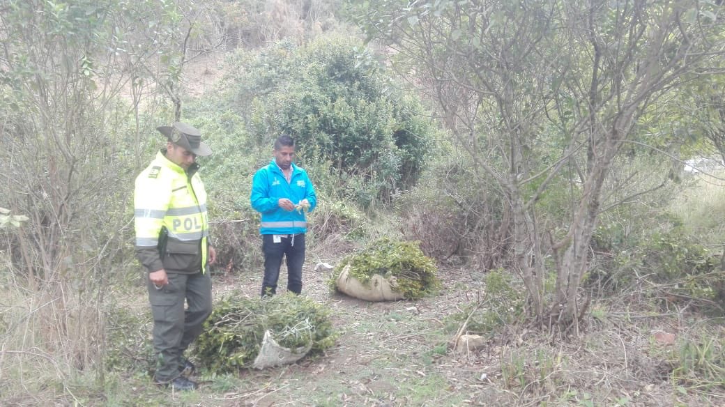 Protegemos el laurel de cera2