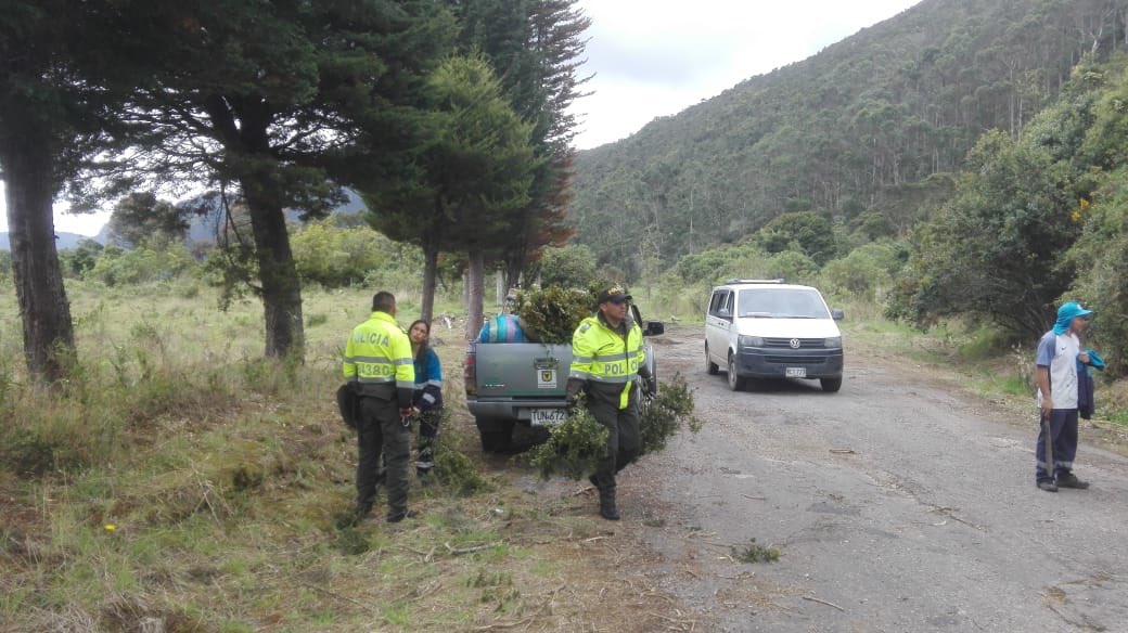 Protegemos el laurel de cera3