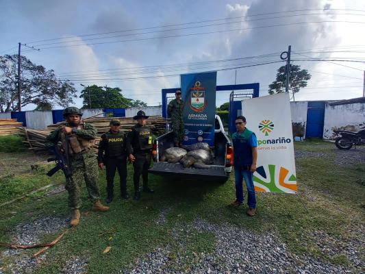Protegen la  fauna y flora de Nariño 