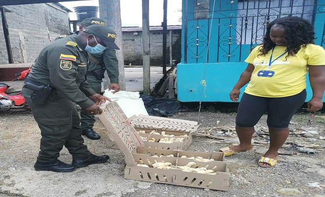 Proyecto de vida y emprendimiento empresarial es el resultado del programa “jóvenes a lo bien” en Quibdó