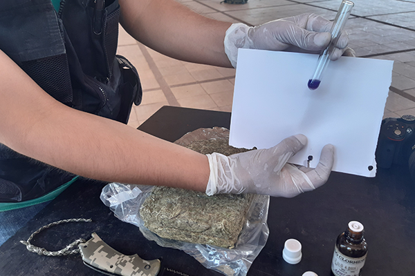 Hallazgo de marihuana en Vichada