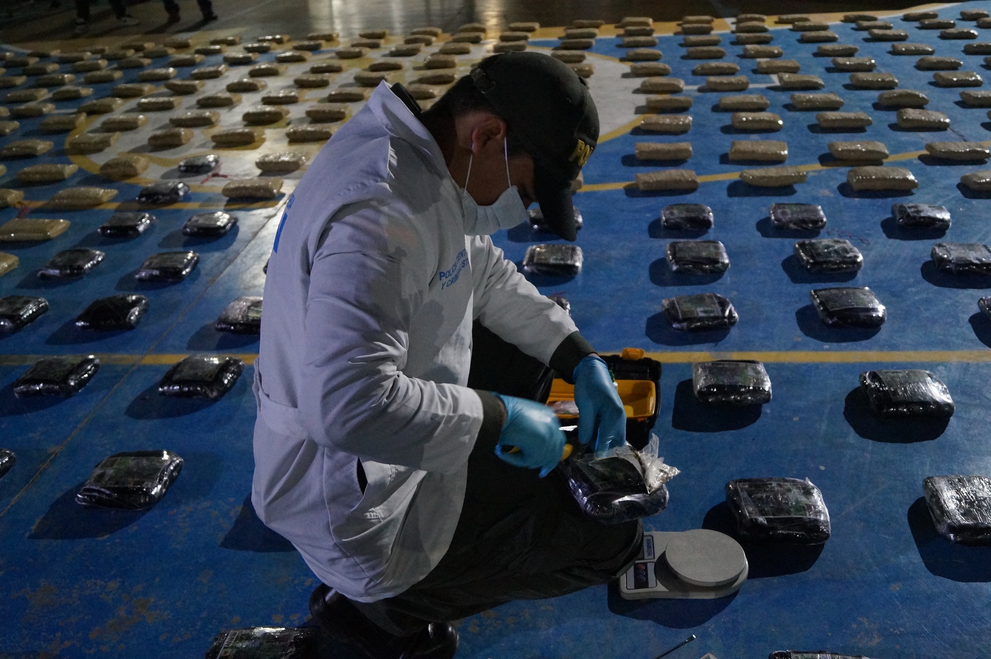 Ofensiva contra el narcotráfico permite incautar media tonelada de marihuana