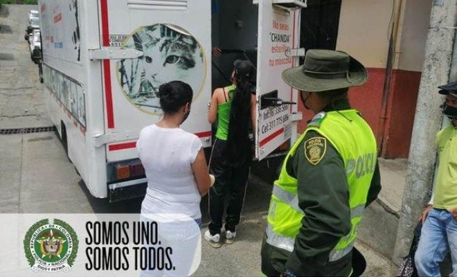 Realizamos jornada de esterilización de mascotas1