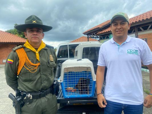 Trasladado a la Corporación Autónoma del Quindío