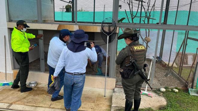 Acompañamiento de CVC y Fiscalía General de la Nación