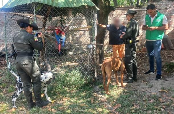 Policía de Neiva a través de los patrullajes ambientales, rescatan 05 animales silvestres
