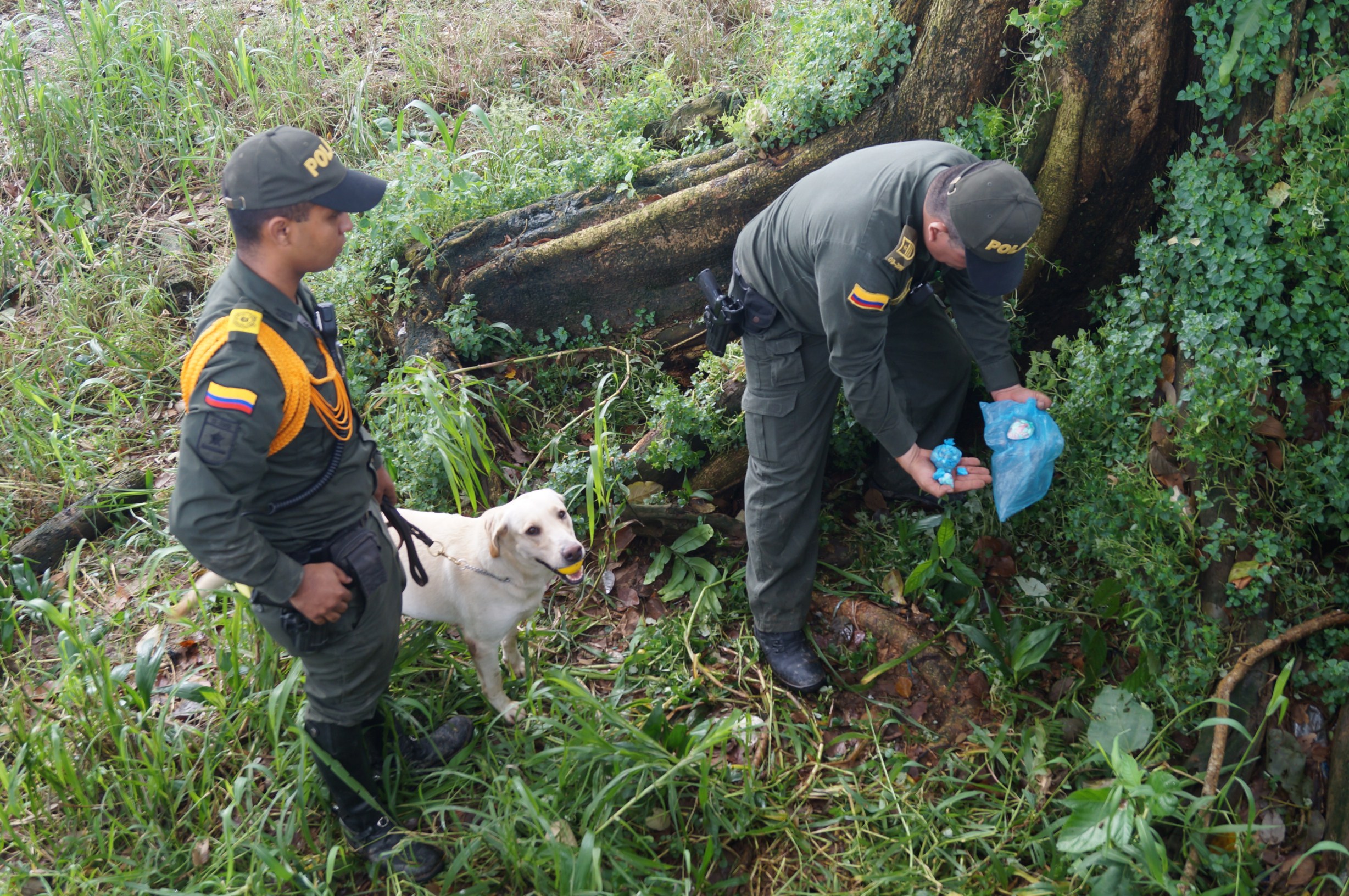 control-en-puente-mirador