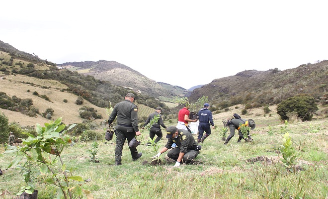Nuestra Escuela comprometida con el medio ambiente 