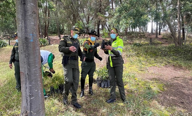 Nuestra Escuela comprometida con el medio ambiente 