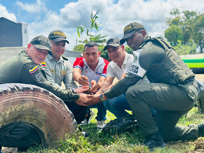 Con ornato y siembra de árboles recuperamos zona verde en Currulao
