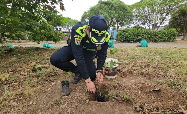 Siembra de 150 árboles nativos