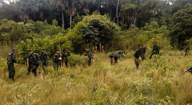 Avanza-“Plan Institucional todos contra el Narcotráfico”-en el Meta