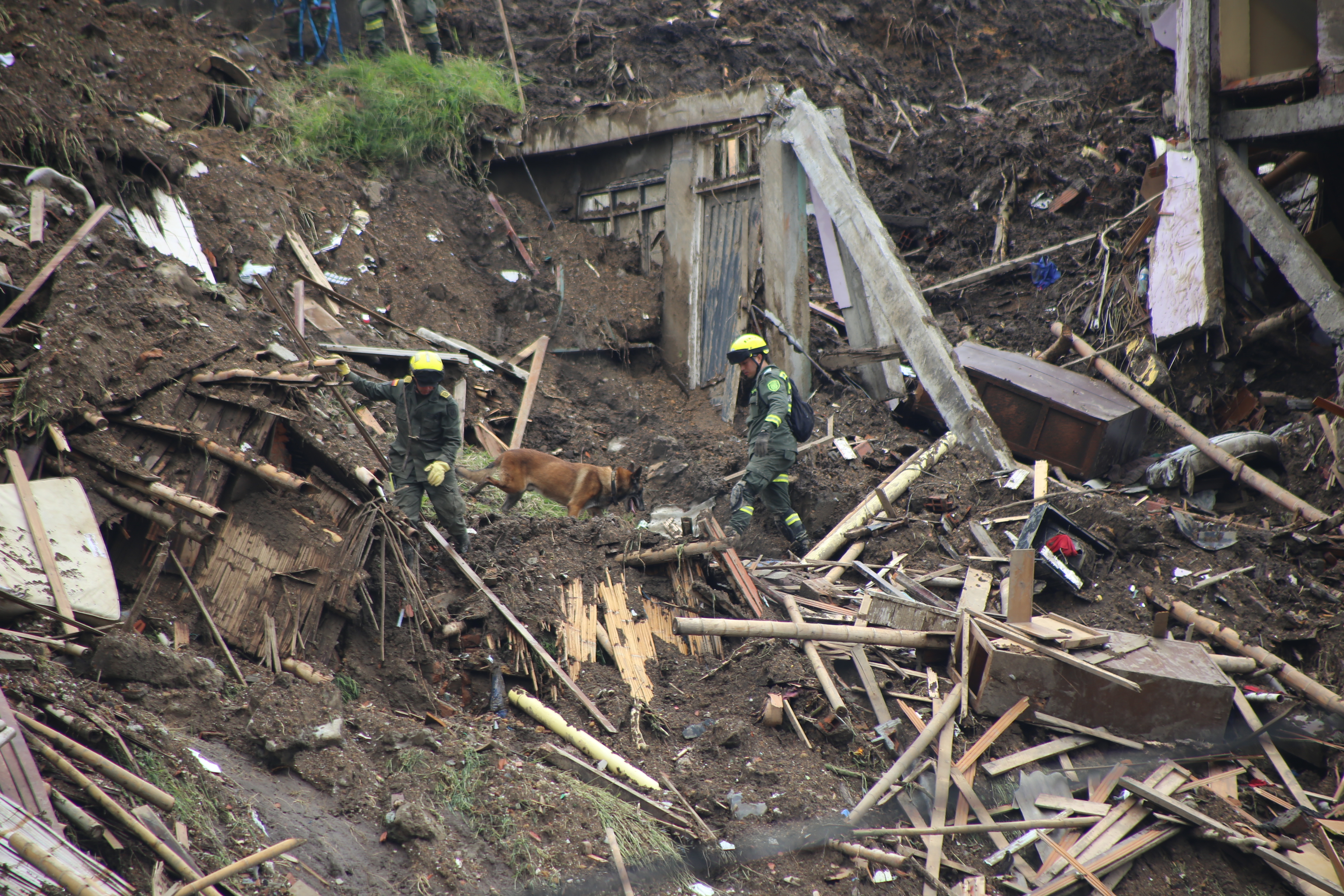 Tomy y su guía buscando cuerpos en la zona de deslizamiento en Manizales 
