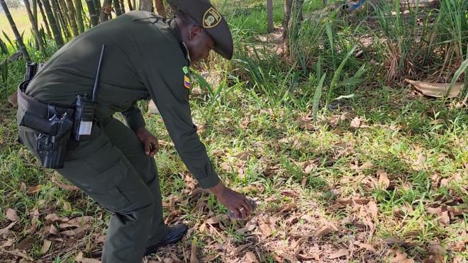En el Vichada, la Policía garantizala protección ambiental