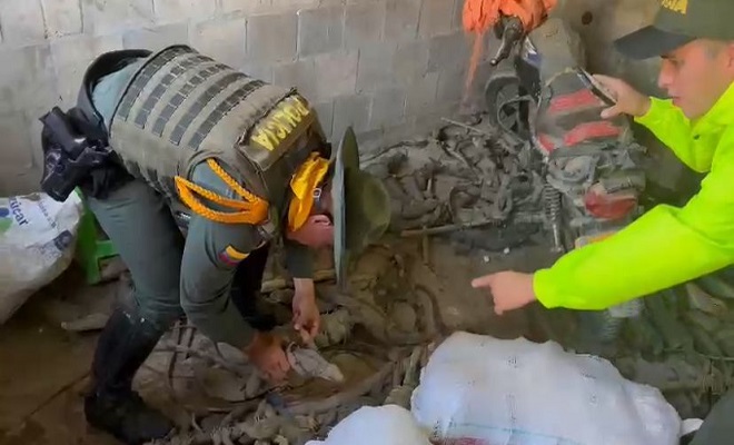 Recuperadas más de 1300 tortugas y 200 iguanas en Bolívar que serían comerciadas en la “Semana Mayor”