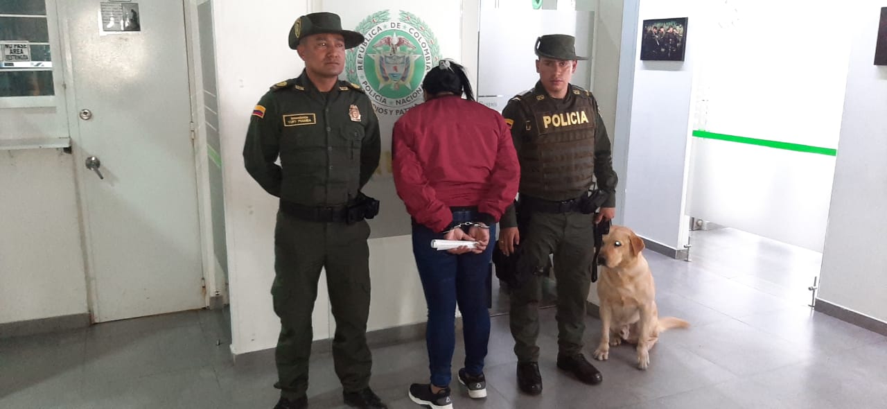 Trabajamos contra el tráfico de fauna silvestre en Bogotá1