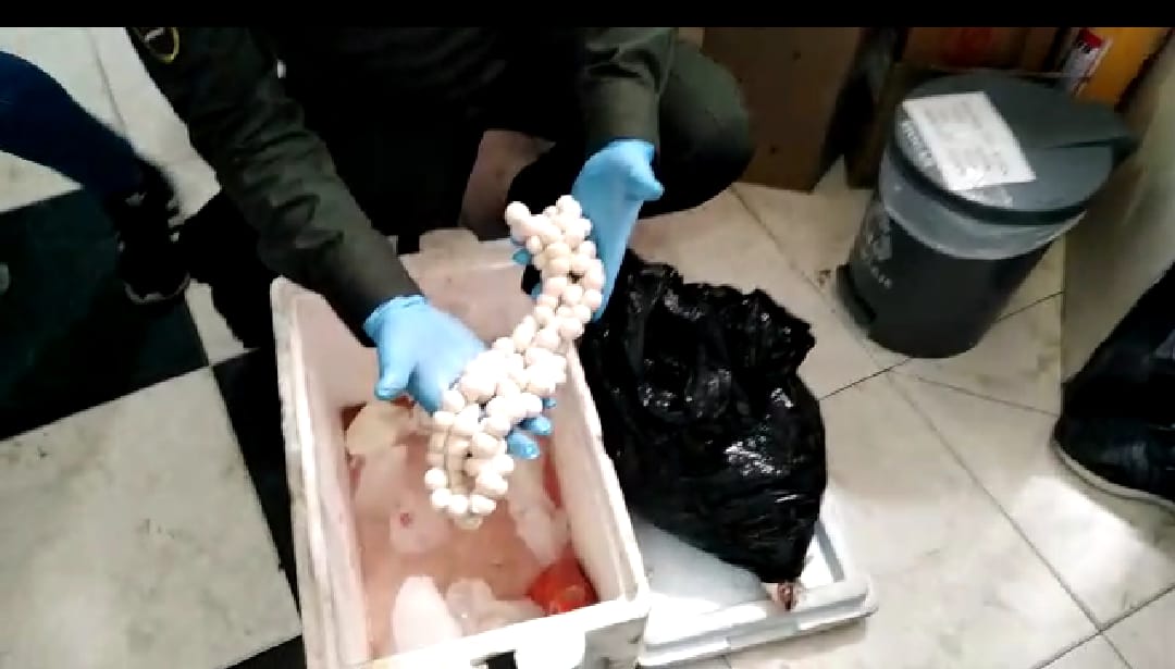 Trabajamos contra el tráfico de fauna silvestre en Bogotá2