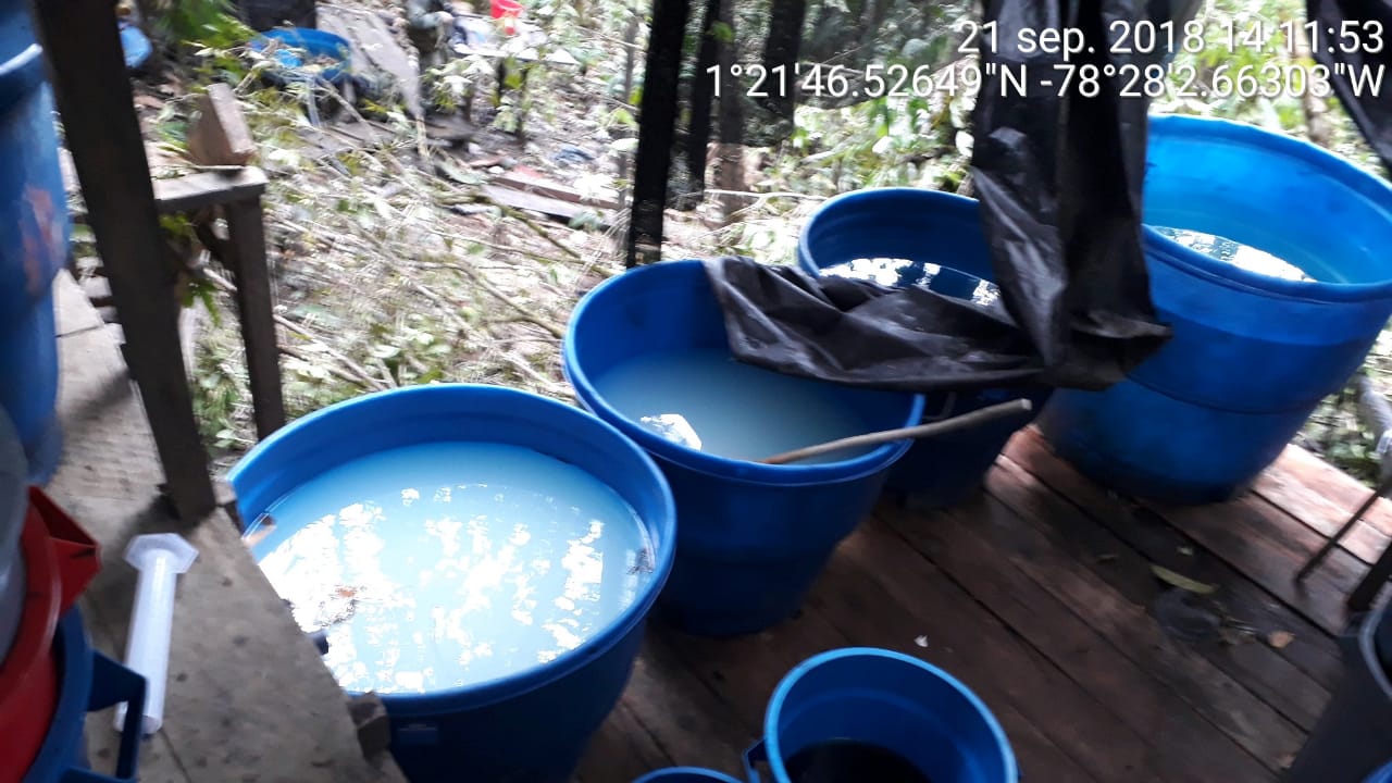 Ubicamos-la-“cocina”-de-producción-de-alcaloides-de-Guacho