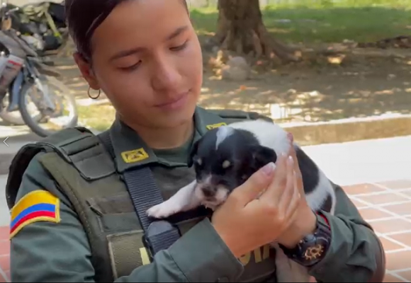 Un grito de silencio que pide auxilio 
