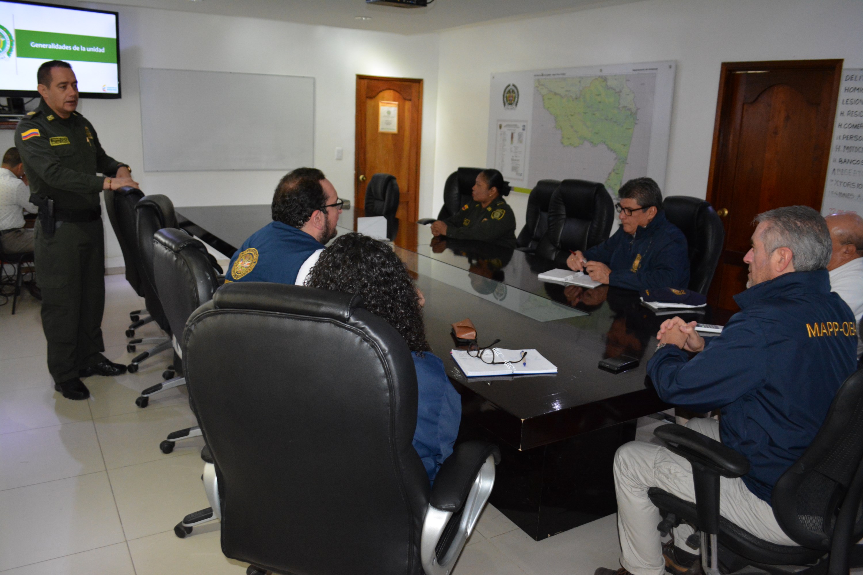 comisión especial de la OEA 