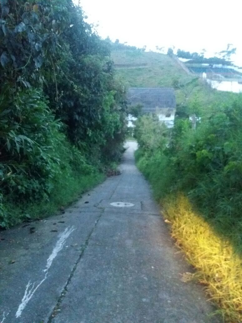 Jóvenes capturados por extorsión