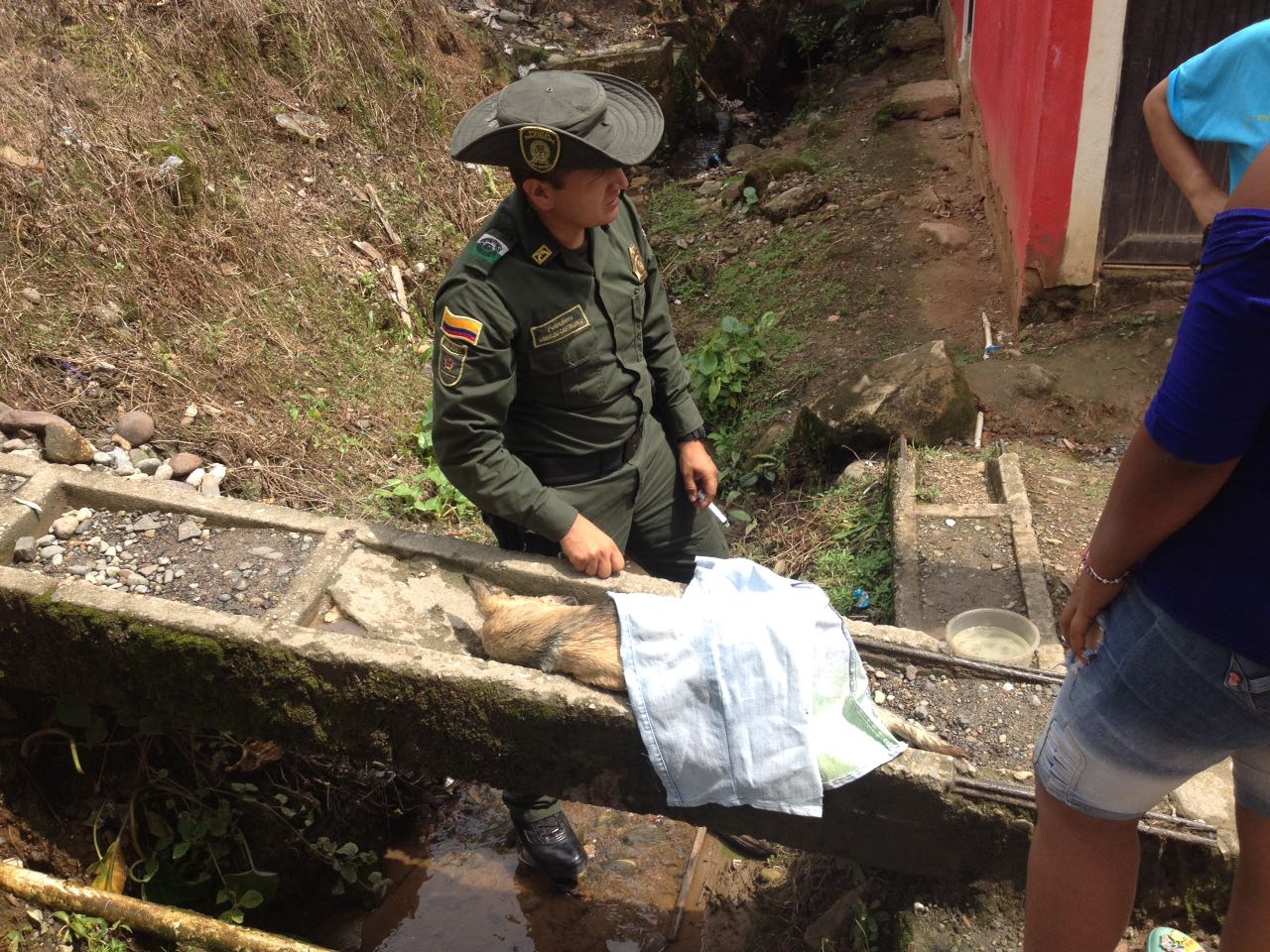 Canino maltratado, fue recuperado por la Policía