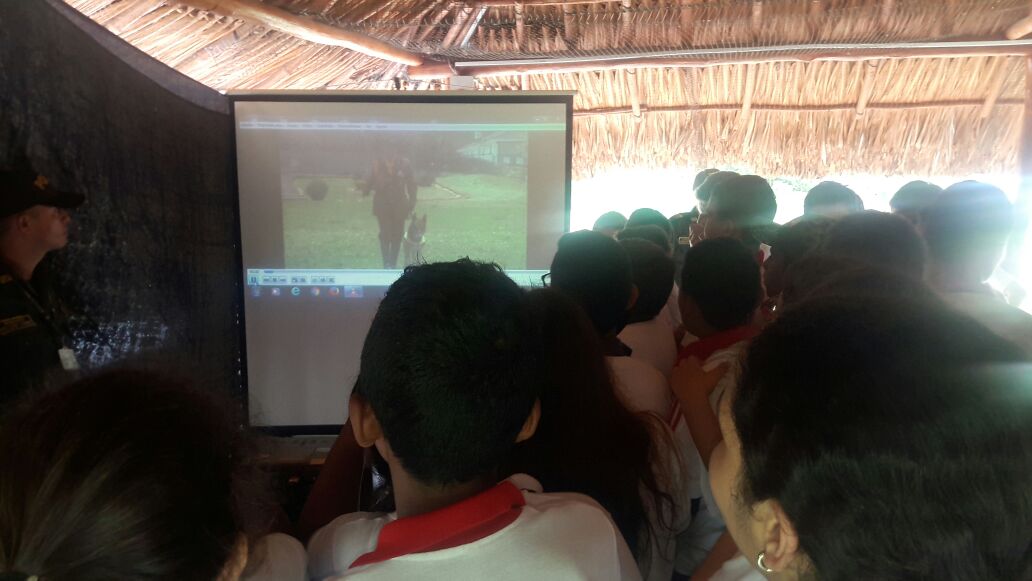 Trabajar en comunidad 