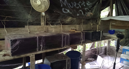 destruidos-cinco laboratorios-cocaina-barbacoas-narilo-direccion antinarcoticos