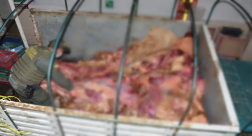 incautacion-carne