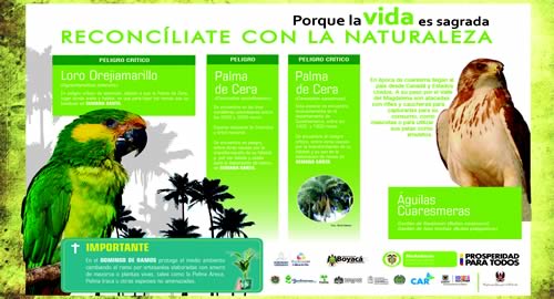 policia-proteccion-loro-amarrillo-palma-cera-semana-santa