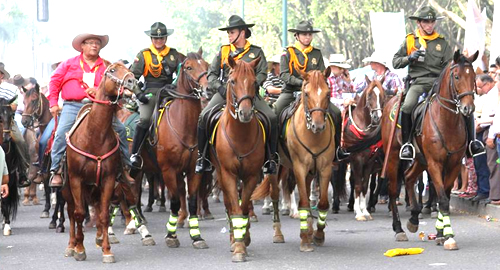 POLICIA NACIONAL-XIX encuentro Mundial de Coleo-Policía Nacional-tranquilidad y seguridad