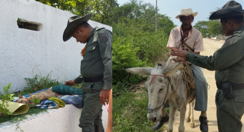 141015-actividad-proteccion-animales-santamarta