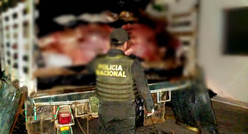 alimento-no-apto