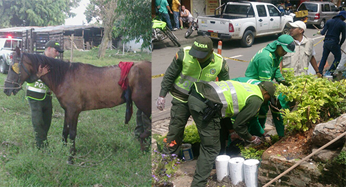 050515-actividad-ambiental-cali