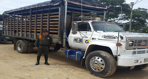 camiones semovientes