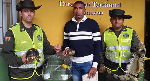 POLICIA NACIONAL-libreren-animales-entrega-