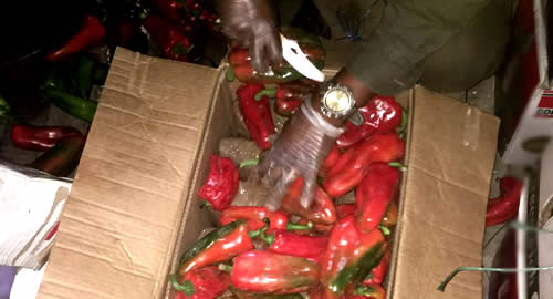 incautacion-marihuana-pimentones-caldas