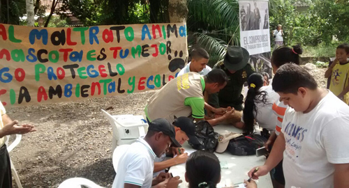 020915-actividad-ambiental-cuidado-animales