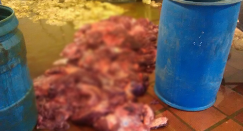 161115-desmantela-matadero-clandestino-valledupar