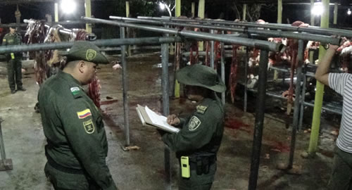 Magdalena- incautaron- kilos-carne-matadero-clandestino