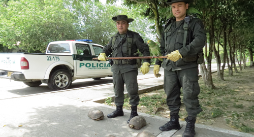 ENTREGA DE ESPECIES SILVESTRES